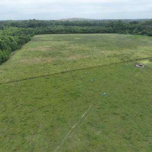 Photo #11 of 1229 NC Highway 305, Aulander, NC 120.0 acres