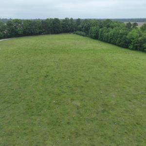 Photo #12 of 1229 NC Highway 305, Aulander, NC 120.0 acres