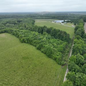 Photo #13 of 1229 NC Highway 305, Aulander, NC 120.0 acres
