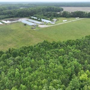 Photo #14 of 1229 NC Highway 305, Aulander, NC 120.0 acres