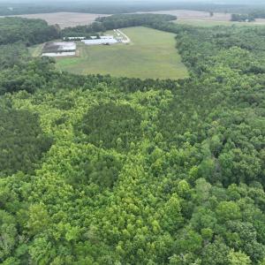 Photo #15 of 1229 NC Highway 305, Aulander, NC 120.0 acres