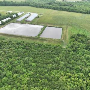 Photo #19 of 1229 NC Highway 305, Aulander, NC 120.0 acres