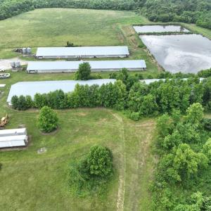 Photo #23 of 1229 NC Highway 305, Aulander, NC 120.0 acres