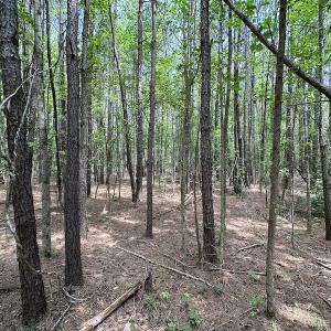 Photo #2 of SOLD property in 3767 Colonial Trail East , Surry, VA 5.9 acres