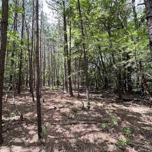Photo #3 of SOLD property in 3767 Colonial Trail East , Surry, VA 5.9 acres