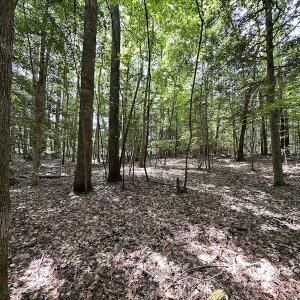 Photo #9 of SOLD property in 3767 Colonial Trail East , Surry, VA 5.9 acres