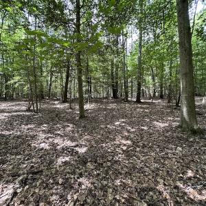 Photo #10 of SOLD property in 3767 Colonial Trail East , Surry, VA 5.9 acres
