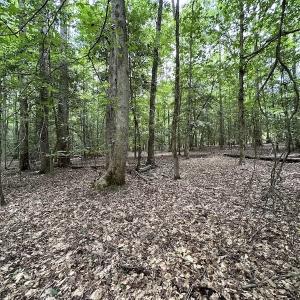 Photo #13 of SOLD property in 3767 Colonial Trail East , Surry, VA 5.9 acres