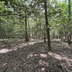 Photo #18 of SOLD property in 3767 Colonial Trail East , Surry, VA 5.9 acres