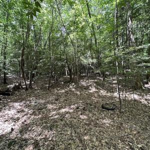 Photo #20 of SOLD property in 3767 Colonial Trail East , Surry, VA 5.9 acres