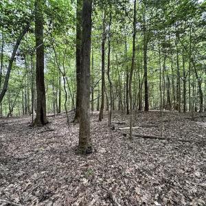 Photo #22 of SOLD property in 3767 Colonial Trail East , Surry, VA 5.9 acres