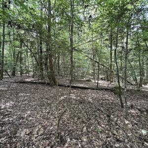 Photo #23 of SOLD property in 3767 Colonial Trail East , Surry, VA 5.9 acres