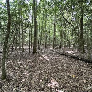 Photo #25 of SOLD property in 3767 Colonial Trail East , Surry, VA 5.9 acres