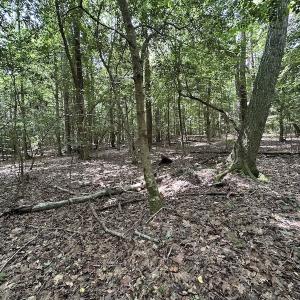 Photo #26 of SOLD property in 3767 Colonial Trail East , Surry, VA 5.9 acres