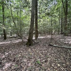 Photo #27 of SOLD property in 3767 Colonial Trail East , Surry, VA 5.9 acres