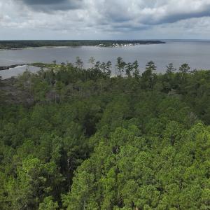Photo #14 of 103 and 104 Garbacon Drive, Beaufort, NC 10.5 acres