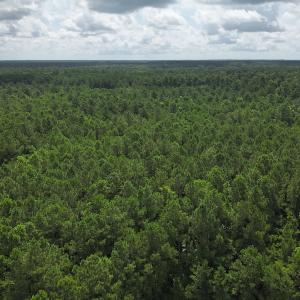 Photo #15 of 103 and 104 Garbacon Drive, Beaufort, NC 10.5 acres
