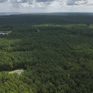 Photo #18 of 103 and 104 Garbacon Drive, Beaufort, NC 10.5 acres