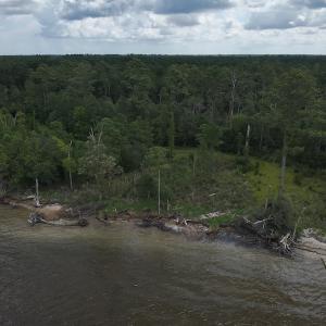 Photo #6 of 103 and 104 Garbacon Drive, Beaufort, NC 10.5 acres