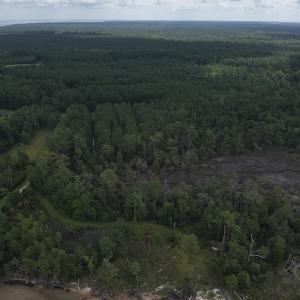 Photo #9 of 103 and 104 Garbacon Drive, Beaufort, NC 10.5 acres