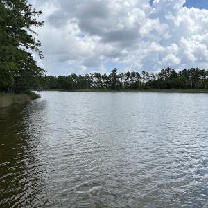 Photo #31 of 103 and 104 Garbacon Drive, Beaufort, NC 10.5 acres