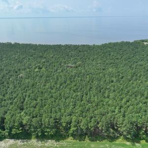 Photo #2 of SOLD property in Off New Hope Road, Hertford, NC 67.9 acres