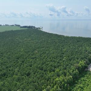 Photo #3 of SOLD property in Off New Hope Road, Hertford, NC 67.9 acres