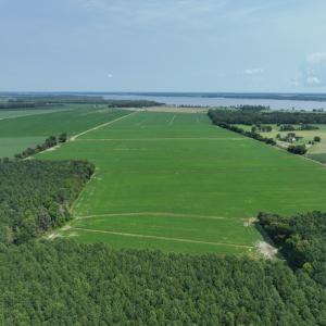 Photo #5 of SOLD property in Off New Hope Road, Hertford, NC 67.9 acres