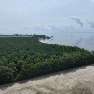 Photo #7 of SOLD property in Off New Hope Road, Hertford, NC 67.9 acres