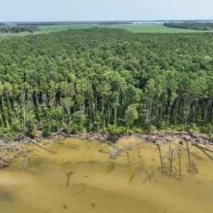 Photo #13 of SOLD property in Off New Hope Road, Hertford, NC 67.9 acres