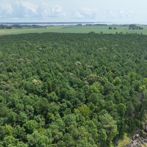 Photo #17 of SOLD property in Off New Hope Road, Hertford, NC 67.9 acres
