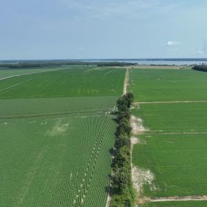 Photo #19 of SOLD property in Off New Hope Road, Hertford, NC 67.9 acres