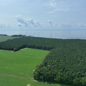 Photo #9 of SOLD property in Off New Hope Road, Hertford, NC 67.9 acres