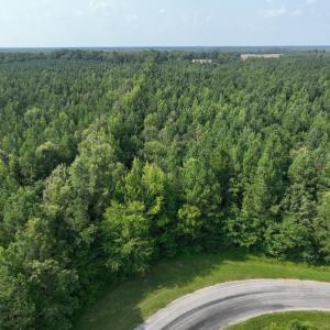 Photo #11 of SOLD property in Off Bryantown Road, Rich Square, NC 14.4 acres