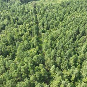 Photo #15 of SOLD property in Off Bryantown Road, Rich Square, NC 14.4 acres