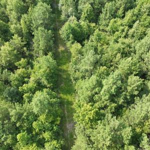 Photo #16 of SOLD property in Off Bryantown Road, Rich Square, NC 14.4 acres