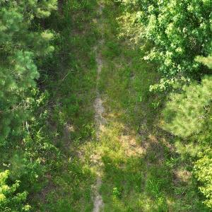 Photo #17 of SOLD property in Off Bryantown Road, Rich Square, NC 14.4 acres