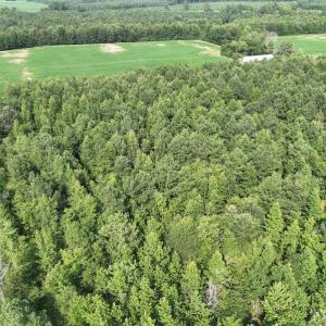 Photo #19 of SOLD property in Off Bryantown Road, Rich Square, NC 14.4 acres