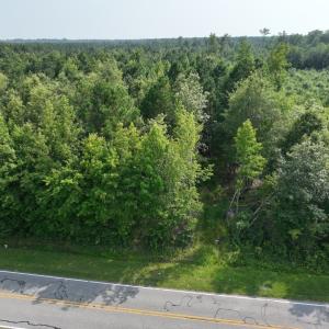 Photo #20 of SOLD property in Off Bryantown Road, Rich Square, NC 14.4 acres