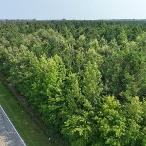 Photo #21 of SOLD property in Off Bryantown Road, Rich Square, NC 14.4 acres