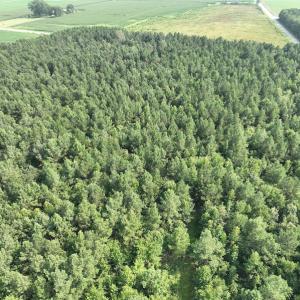 Photo #8 of SOLD property in Off Bryantown Road, Rich Square, NC 14.4 acres
