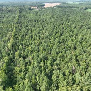Photo #9 of SOLD property in Off Bryantown Road, Rich Square, NC 14.4 acres