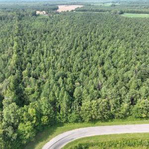 Photo #10 of SOLD property in Off Bryantown Road, Rich Square, NC 14.4 acres