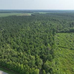 Photo #22 of SOLD property in Off Bryantown Road, Rich Square, NC 14.4 acres
