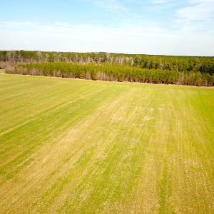 Photo #26 of 7245 General Mahone Hwy , Waverly, VA 62.0 acres