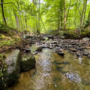 Photo #4 of SOLD property in Off Stoneridge Drive, Stem, NC 23.9 acres