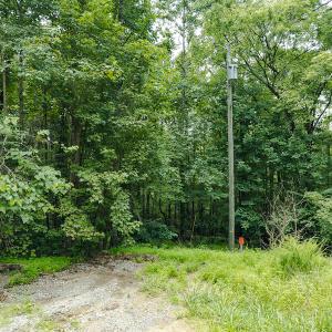 Photo #13 of SOLD property in Off Stoneridge Drive, Stem, NC 23.9 acres