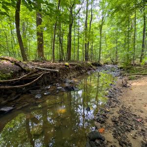 Photo #14 of SOLD property in Off Stoneridge Drive, Stem, NC 23.9 acres