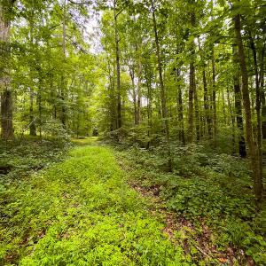 Photo #17 of SOLD property in Off Stoneridge Drive, Stem, NC 23.9 acres