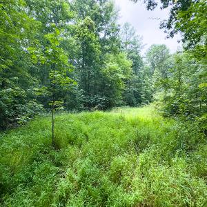Photo #23 of SOLD property in Off Stoneridge Drive, Stem, NC 23.9 acres